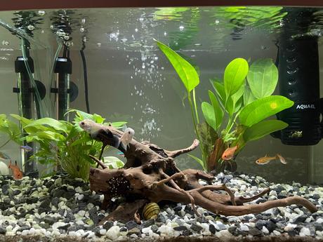 Akvarium s komplet vybavou, 