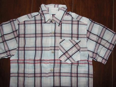 Košela, palomino,98