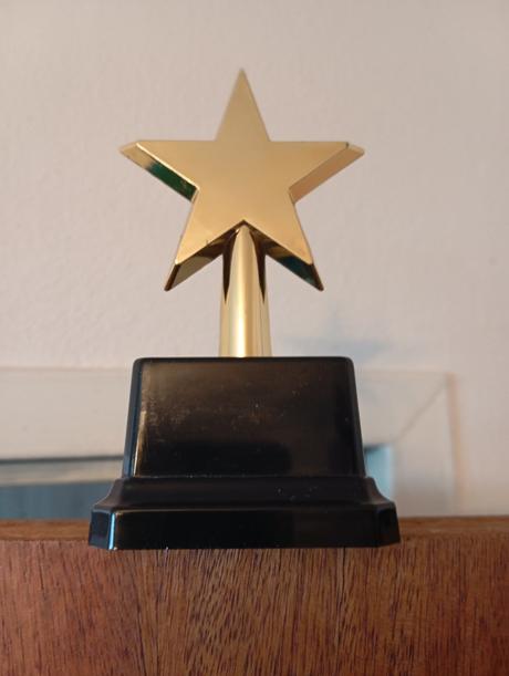 Vianočná hviezda na váš stôl,