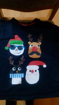 Vianočne tričko, pepco,110