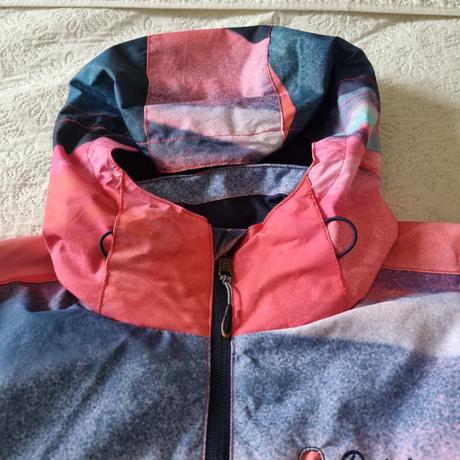 Lyžiarska bunda protest, 38