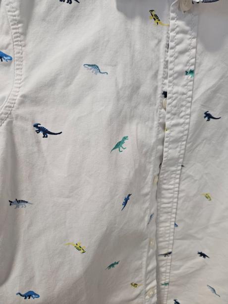 Bavlnená dino košeľa, h&m,116