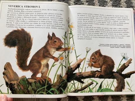 Zvieratá európy-prvé vyd.1997, 