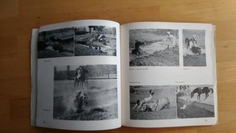 Kniha co chcete vedet o velké pardubické v češtine,