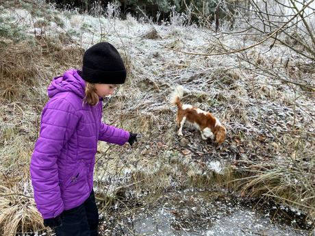 Zimná bunda icepeak, 152