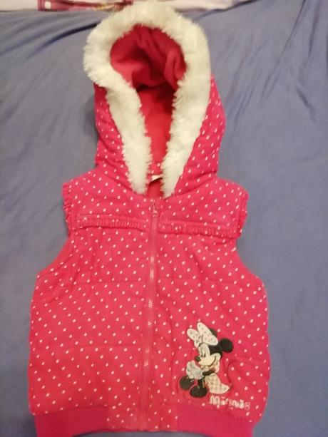 Vesta minnie, disney,104