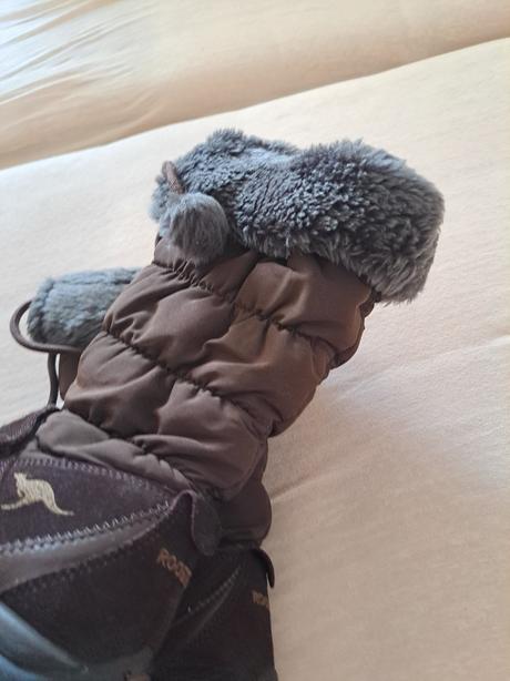 Snehule, kangaroos,34