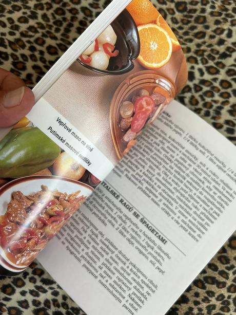 Kuchařka vaříme na pánvi wok - karina havlů, 