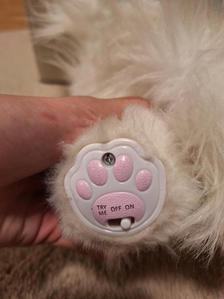 Pradúca,mňaukajúca,papajúca mačka, 