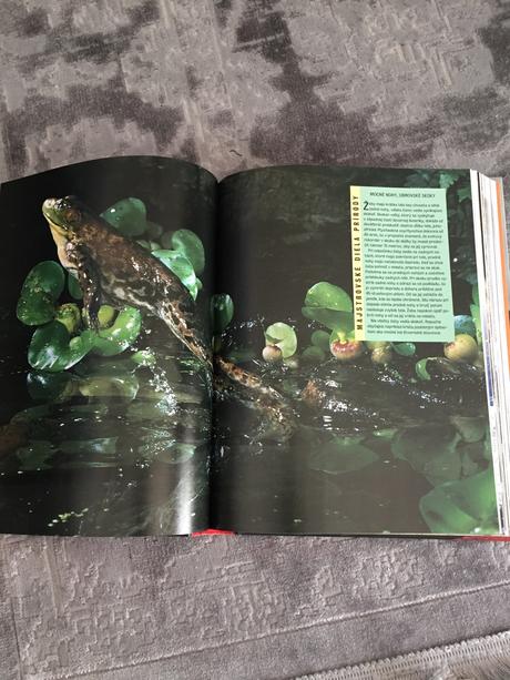 1000 divov prírody, 