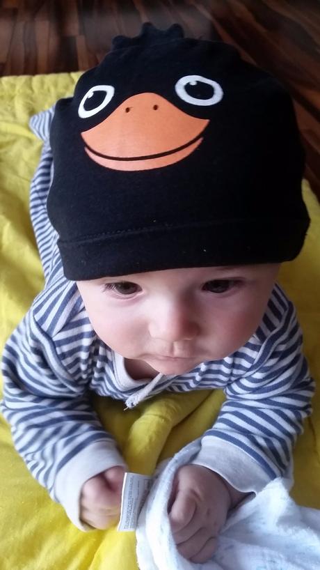 Ciapocka tucniacik h&m 561, h&m,74