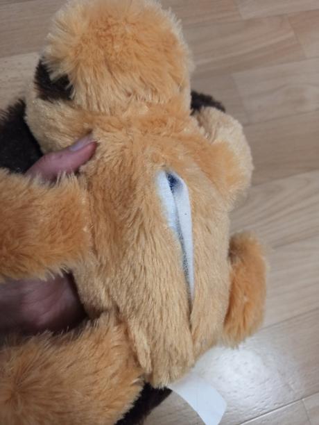 Chichotajuci sa psík,