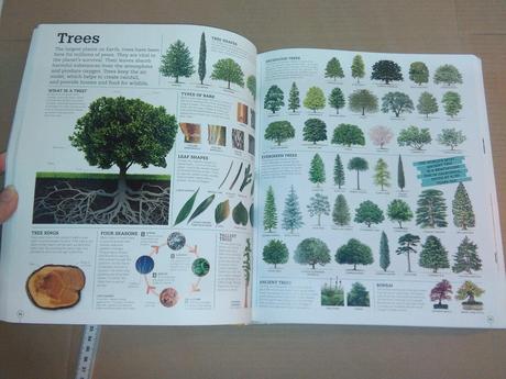 Dk picture this encyclopedia, 