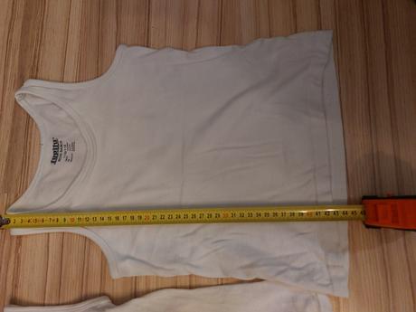 Tielka, palomino,122