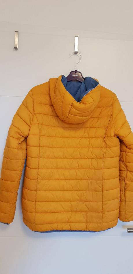 Obojstranna hunda, 164