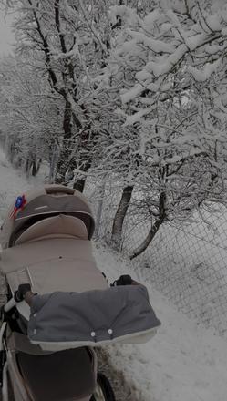 Colleto verona avangard, coletto,coletto verona