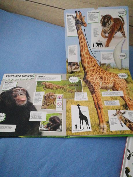 Séria kníh od 7rokov,