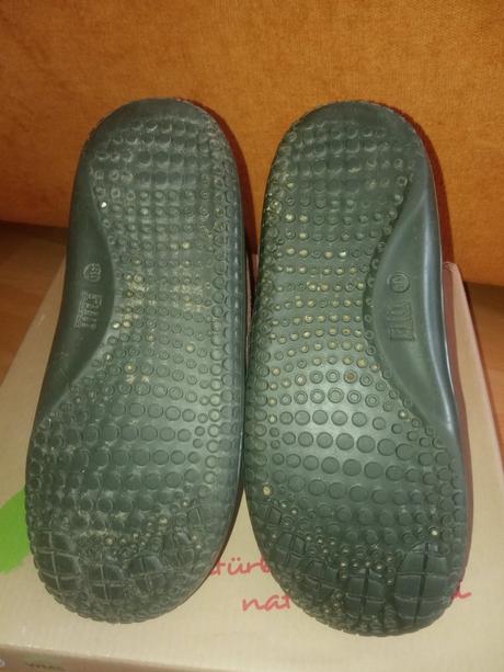 Filii himalaya 30, filii,30