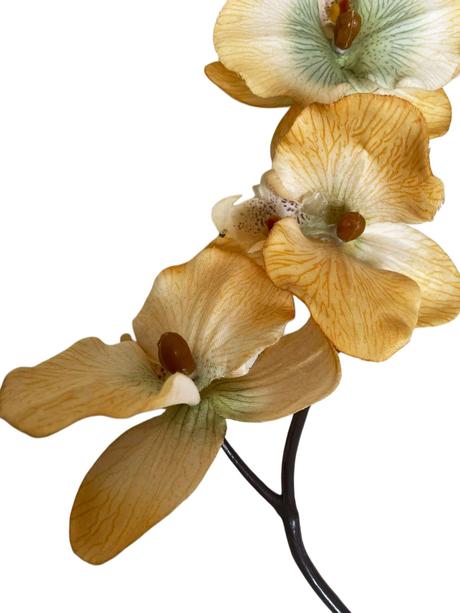 Umelá orchidea, 