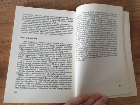 Skleníkové květiny k řezu,