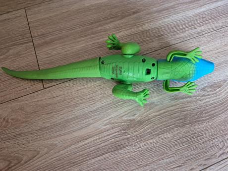 Robo  alive jašterica, 