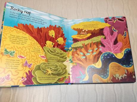 Usborne look inside space nsu19, 