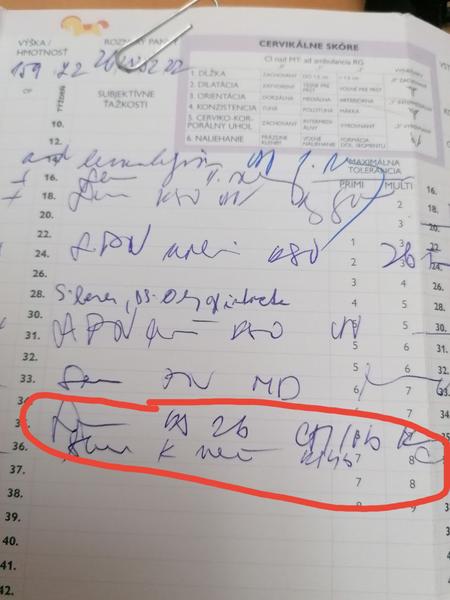 Čo znamenajú tieto vety v tehotenskej knižke?