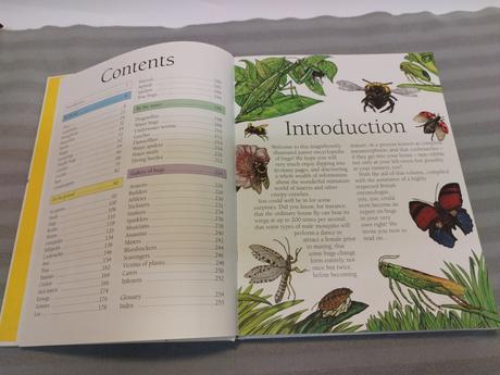 Bugs the encyclopedia of creepy-crawlies sp23, 