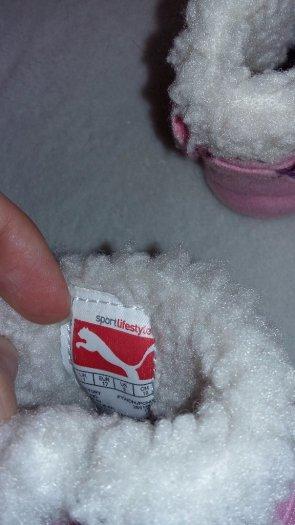 Cizmicky puma, puma,17