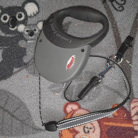 Voditko flexi lanko 5m, 