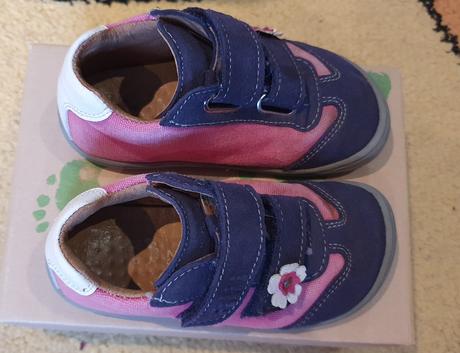 Filii leguan w, filii,23