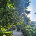 krasne slnkom zaliate dobre rano