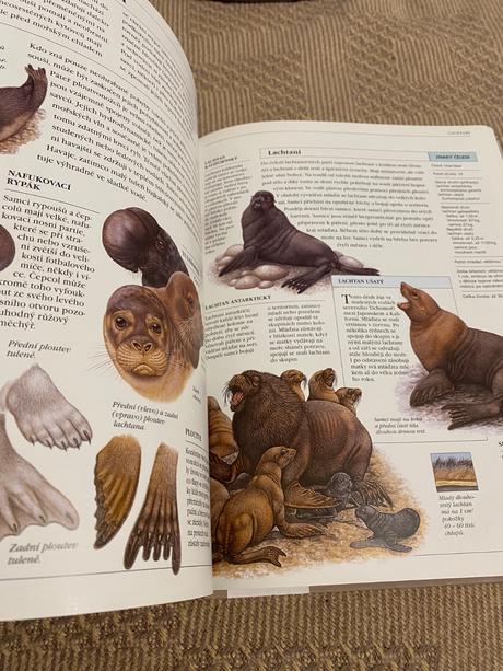 Velká ilustrovaná encyklopedie zvířat savci od a,
