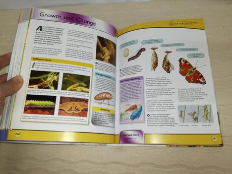 Encyclopedia of life sp20, 