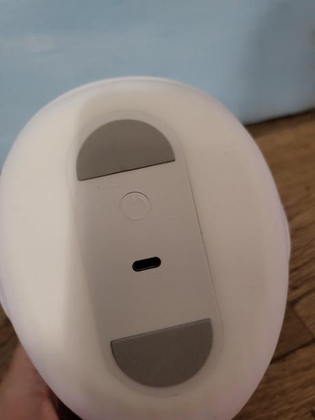 Nočné svetielko velryba, 