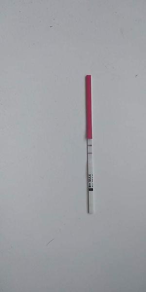 Menzes mi mešká 3. deň a mala som pozitívny ovulačný test