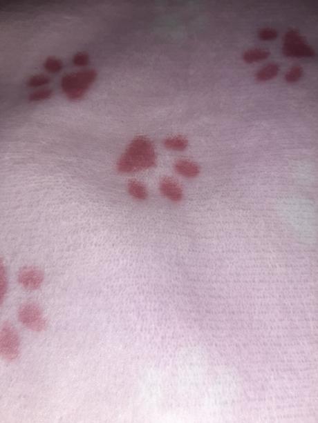 Dečinka a capajdy adidas, 