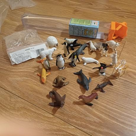 Podla monte pg zvieratá arktída a antarktída,