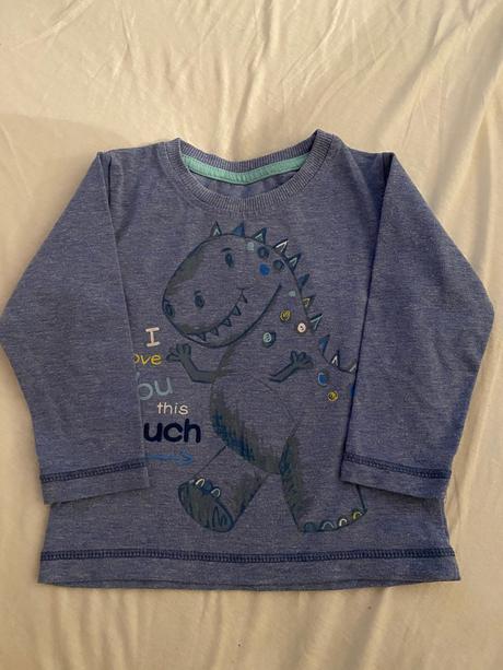 Tričko s dinosaurom, 80