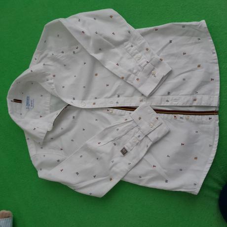 Kosela mayoral, mayoral,116