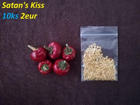 Semená čili/chilli papričiek,