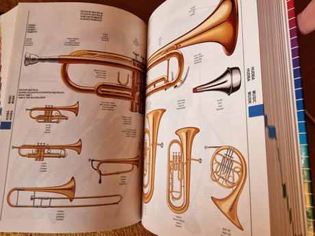 Velký obrazový tématický slovník,