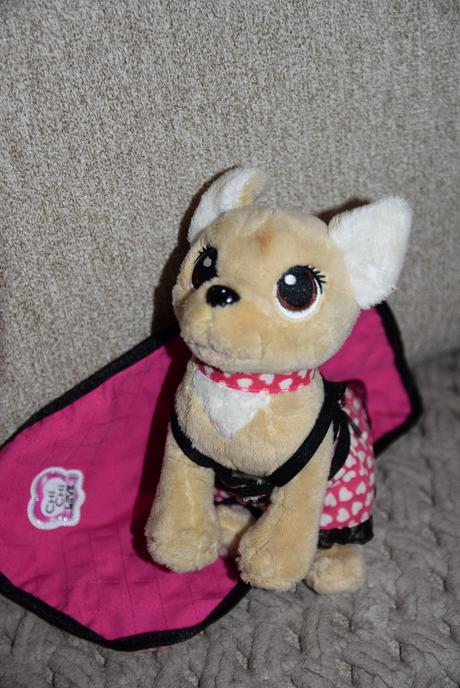 Psík chichi s dečkou,