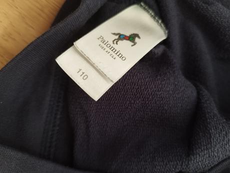 Mikinka, palomino,110