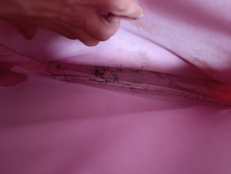 Skolska taska alica v krajine zazrakov,