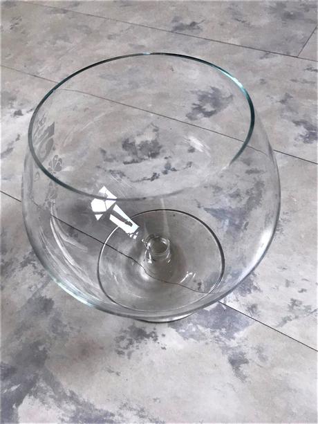 Obria napoleónka na 50 - tku,