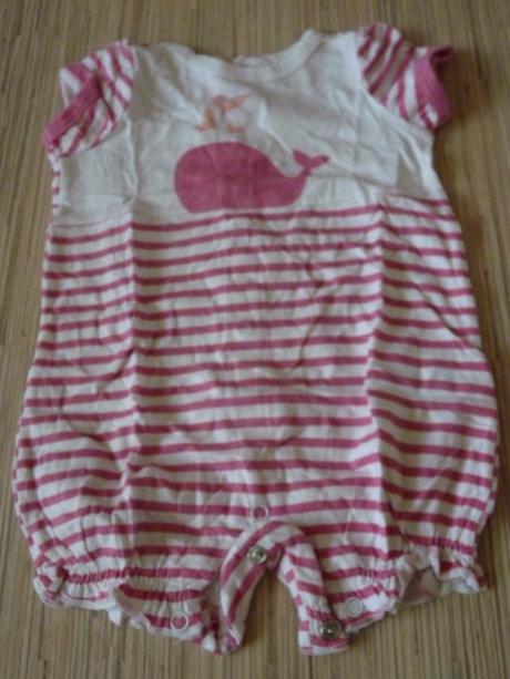 Opalovacky pasikave, 62, 62