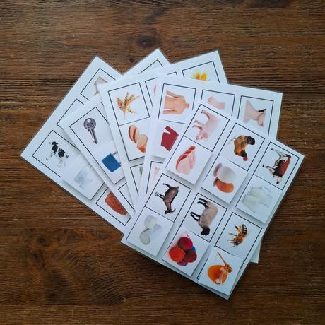 Priraďovanie asociácií,