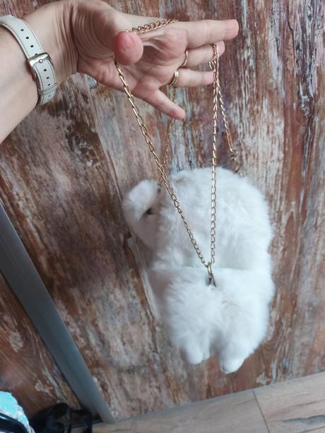 Kabelka alebo malý batôžtek zajačik, 