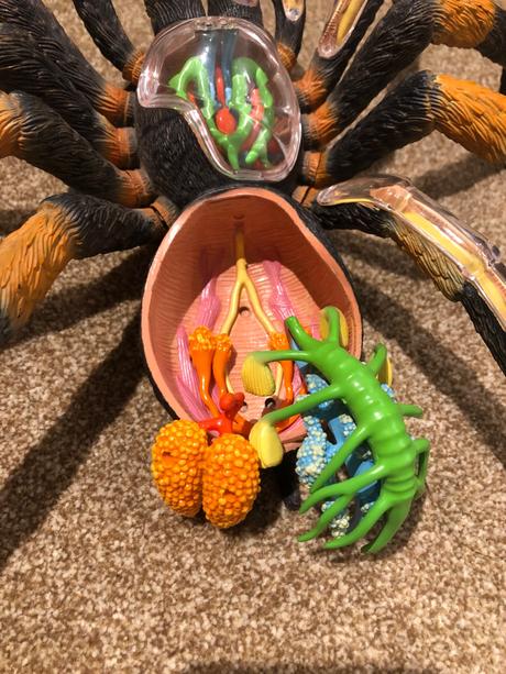 Pavuk tarantula maketa, 